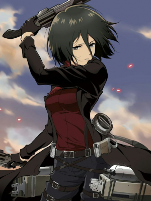 Mikasajpg — Personnage Animé option 49