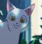 Zz1632057365ltranger Chat2png — Personnages anime/manga ALL STAR septembre 2021 option 729