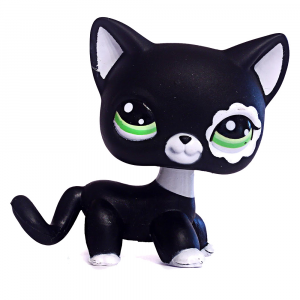 Lps shorthair cheap cat list