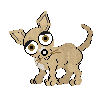 Chichipng — Petz Breeds option 3