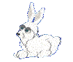 Cottonpng — Petz Breeds option 5