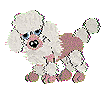 Fifipng — Petz Breeds option 6