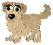 Goldiepng — Petz Breeds option 8