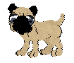 Puggypng — Petz Breeds option 21