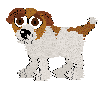 Sportpng — Petz Breeds option 28