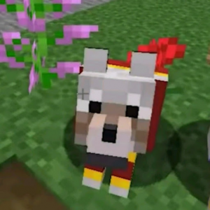Favourite Pewdiepie Minecraft Pets Bracket BracketFights