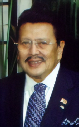 Presidentjosepherapejercitoestradaargentinepresidentmenemcroppedjpg — Philippine Presidents option 12