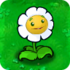 Marigold1png — Plants VS Zombies Plants option 23