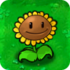Sunflower1png — Plants VS Zombies Plants option 40