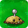 Patata Minapng — Plants vs Zombies Plants option 37
