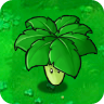 Umbrellaleaf1png — Plants vs Zombies Plants option 49