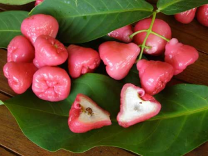 Pomme Malakapng — Plats / spécialités antillaises option 36