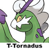 Z32png — Pokemon Facial Hair option 26