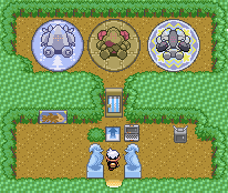 Downloadpng — Pokemon Gimmicks option 12