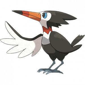 QUAL O MELHOR PASSARO REGIONAL NO COMPETITIVO? REGIONAL BIRD