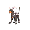 Houndoompng — Pokemon Renegade Platinum Available Pokemon option 94