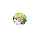 Shayminpng — Pokemon Renegade Platinum Available Pokemon option 192