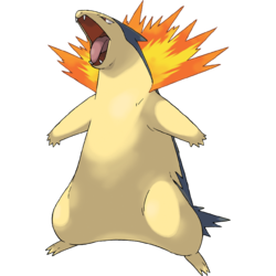 250px 157typhlosionpng — Pokemon Starters option 16