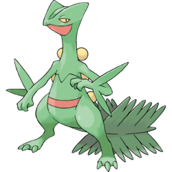 250px 254sceptilepng — Pokemon Starters option 22