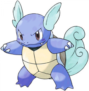 08 Wartortlejpg — Pokemon Starters Evolutions Tier List option 8