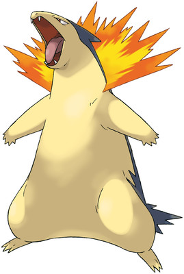 15 Typhlosionjpg — Pokemon Starters Evolutions Tier List option 15
