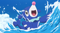 250px Lanapoppliopng — Pokemon Starters' First Stage option 1