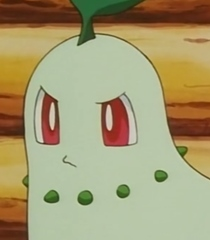 Chikoritajpg — Pokemon Starters' First Stage option 10