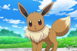 Eeveejpg — Pokemon Starters' First Stage option 12
