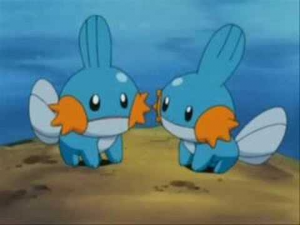 Mudkipjpg — Pokemon Starters' First Stage option 15