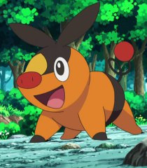 Tepig Ashs Pokemon 422jpg — Pokemon Starters' First Stage option 22