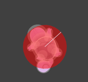 Squirtlenairpng — Pokemon Trainer Move Tier List option 34
