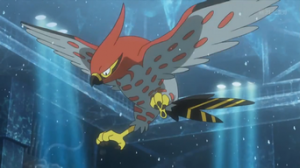 1ep889talonflamedeash2png — Pokémon de Ash option 6