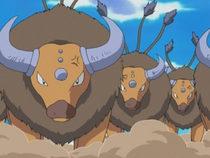 Eh14taurosdeashpng — Pokémon de Ash option 8