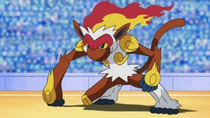 Ep655infernapedeashpng — Pokémon de Ash option 20