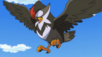 Ep656staraptorpng — Pokémon de Ash option 23