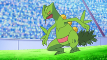 Ep658sceptile2png — Pokémon de Ash option 27