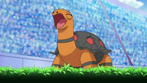 Ep658torkoaldeashpng — Pokémon de Ash option 29