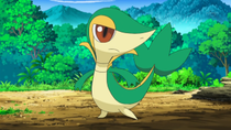 Ep728snivydeashpng — Pokémon de Ash option 30