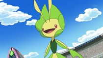 Ep768leavannydeashpng — Pokémon de Ash option 36
