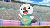 Ep769oshawottdeashpng — Pokémon de Ash option 37