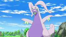 Ep873goodradeashpng — Pokémon de Ash option 39