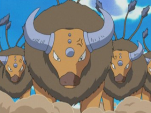 Taurossachapng — Pokémon de Sacha (Ash Pokémon) 05/2022 option 53