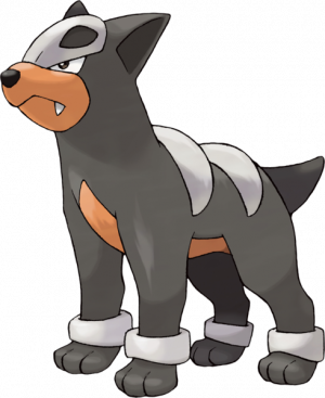 228 Malosse Rfvfpng — Pokémon Feu option 18