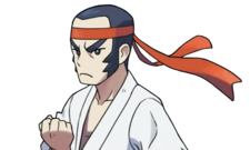 225px Vsblackbeltpng — Pokémon Gen 3 Characters option 11