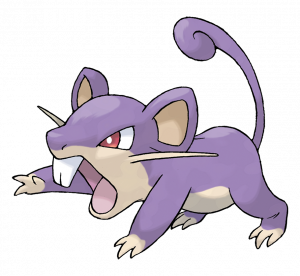 019 Rattatapng — Pokémon: Normal Type option 8
