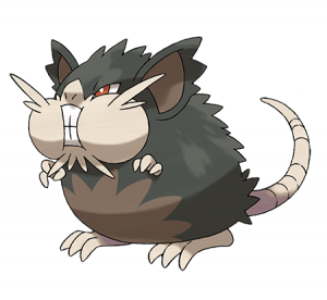 020 Raticatealolapng — Pokémon: Normal Type option 9