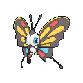 267png — All Pokemon Regional Insects Gen1-8 option 15