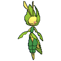542png — All Pokemon Regional Insects Gen1-8 option 22