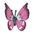 666png — All Pokemon Regional Insects Gen1-8 option 28
