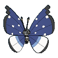 667png — All Pokemon Regional Insects Gen1-8 option 29